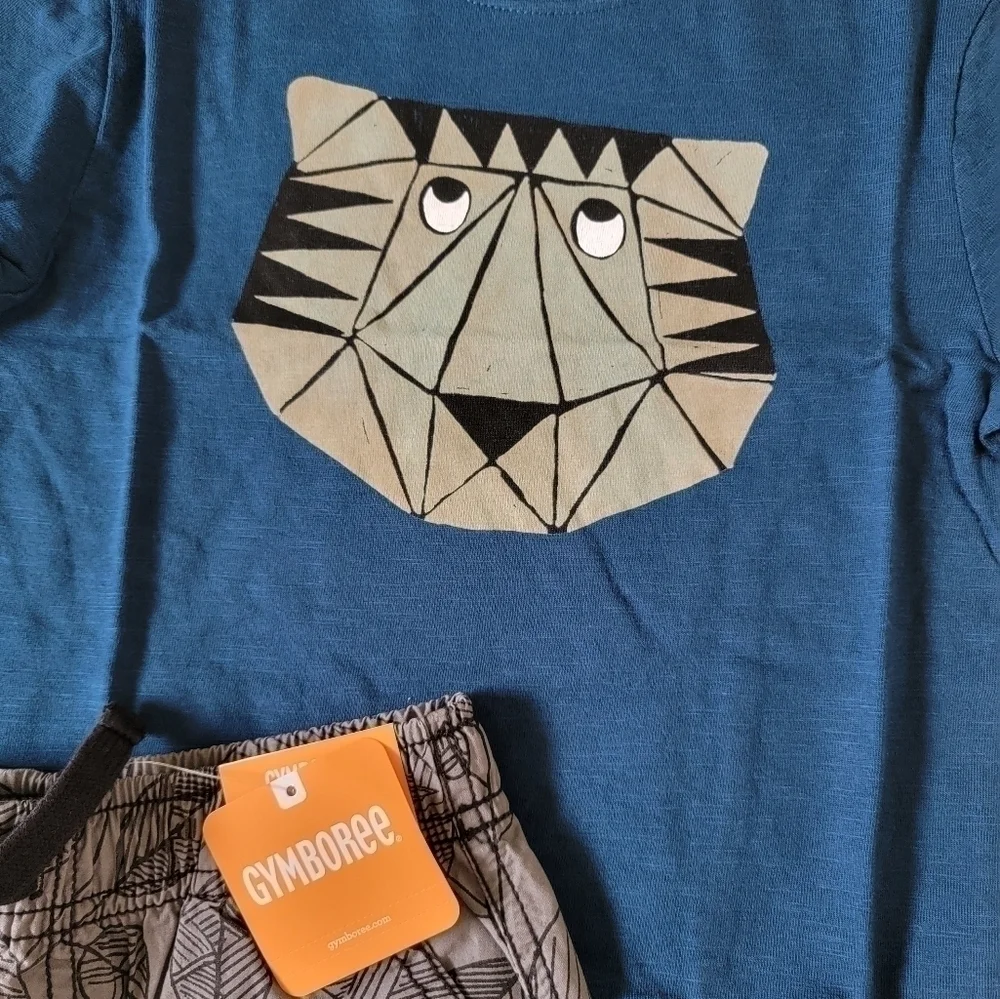 5T NWT Gymboree Summer Outfit